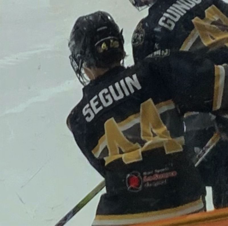 Alex Seguin profile picture