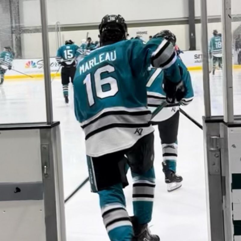 Brody Marleau profile picture