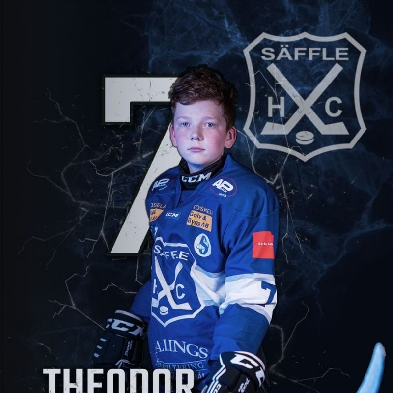 Theodor Nilars profile picture